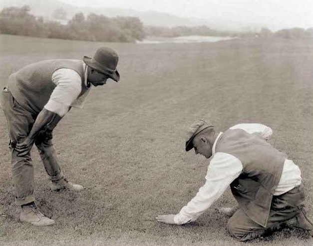 Historic photograph of workers examining new turf, 1925
